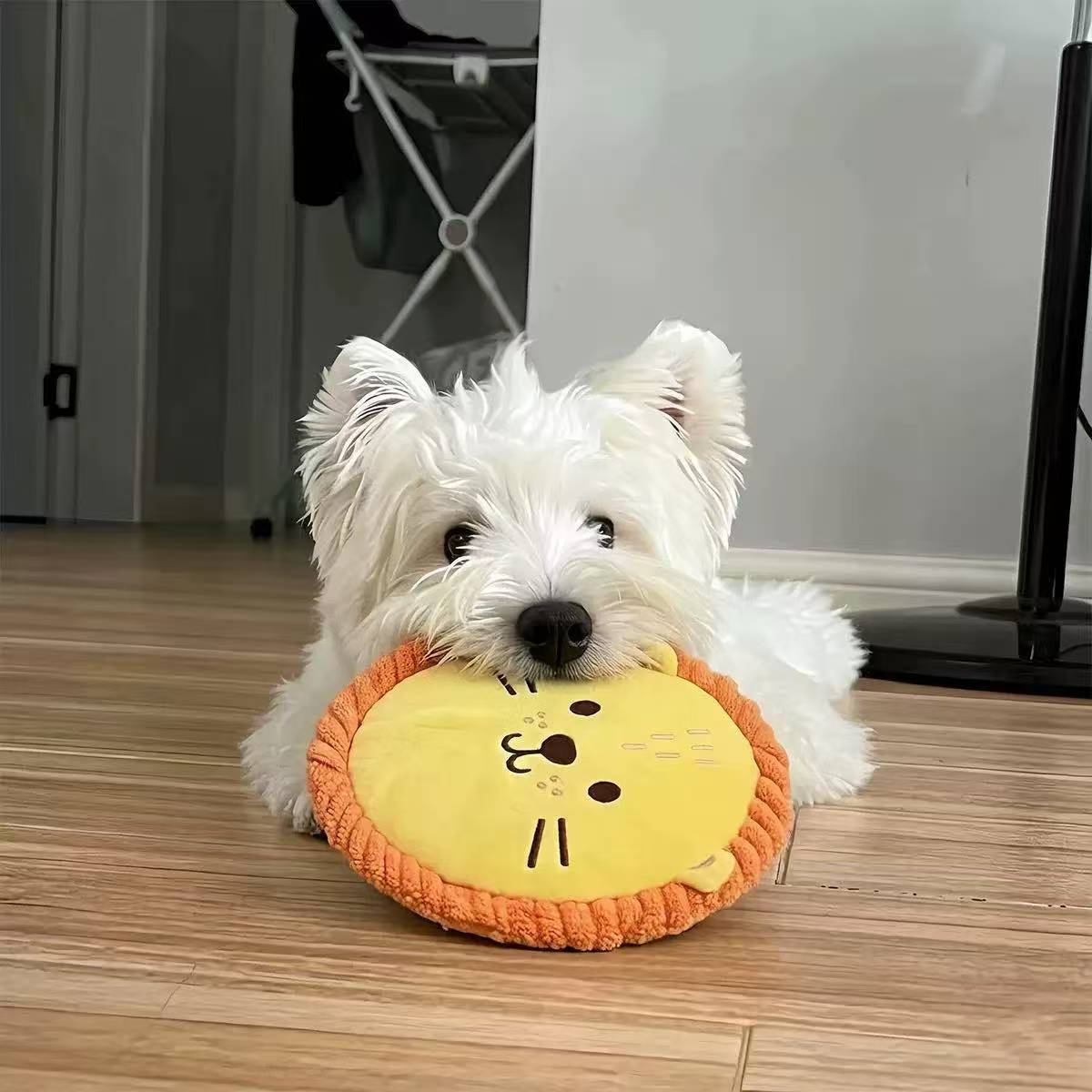 Disque en peluche pour chien — couineur et papier froissant