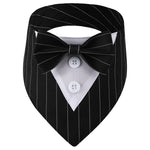 Bandana chien façon smoking — nœud papillon amovible — coloris