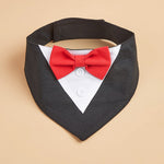 Bandana chien façon smoking — nœud papillon amovible — coloris