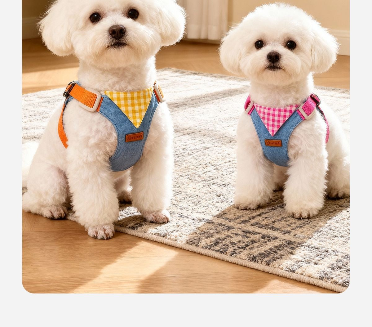 Harnais chiot en jean avec bandana, réglable