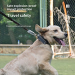 Laisse renforcée pour chien moyen à grand — sangle épaisse