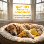 Canard en peluche gaufrée à couiner, trois tailles