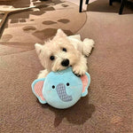 Disque en peluche pour chien — couineur et papier froissant