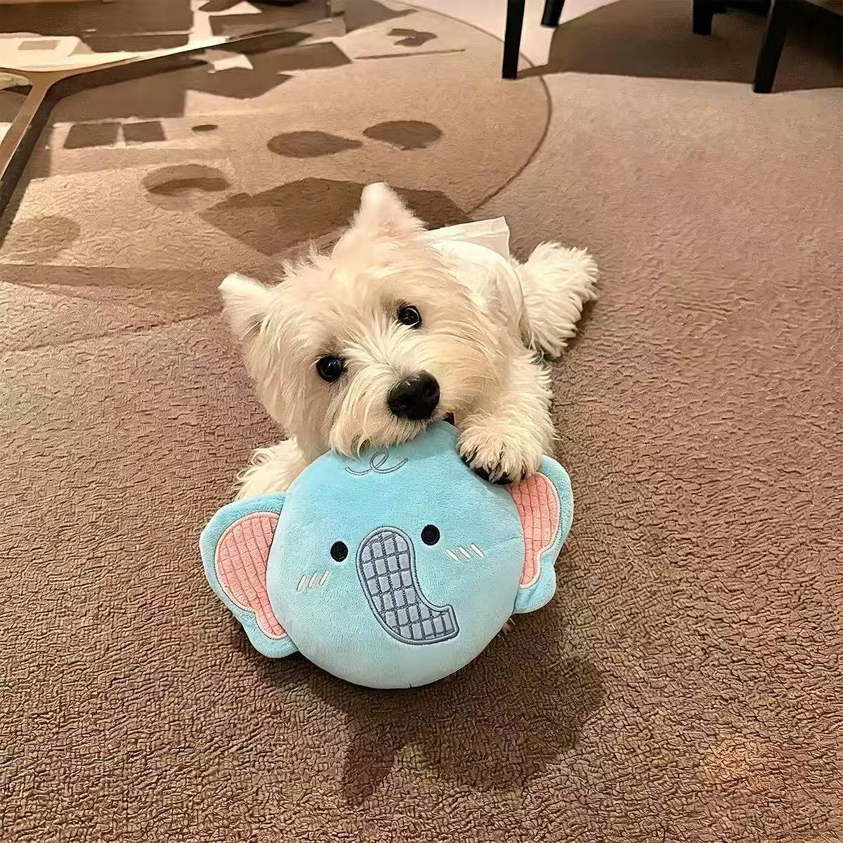 Disque en peluche pour chien — couineur et papier froissant