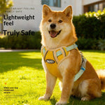 Harnais chien en H — maille respirante, réglable en plusieurs points