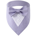 Bandana chien façon smoking — nœud papillon amovible