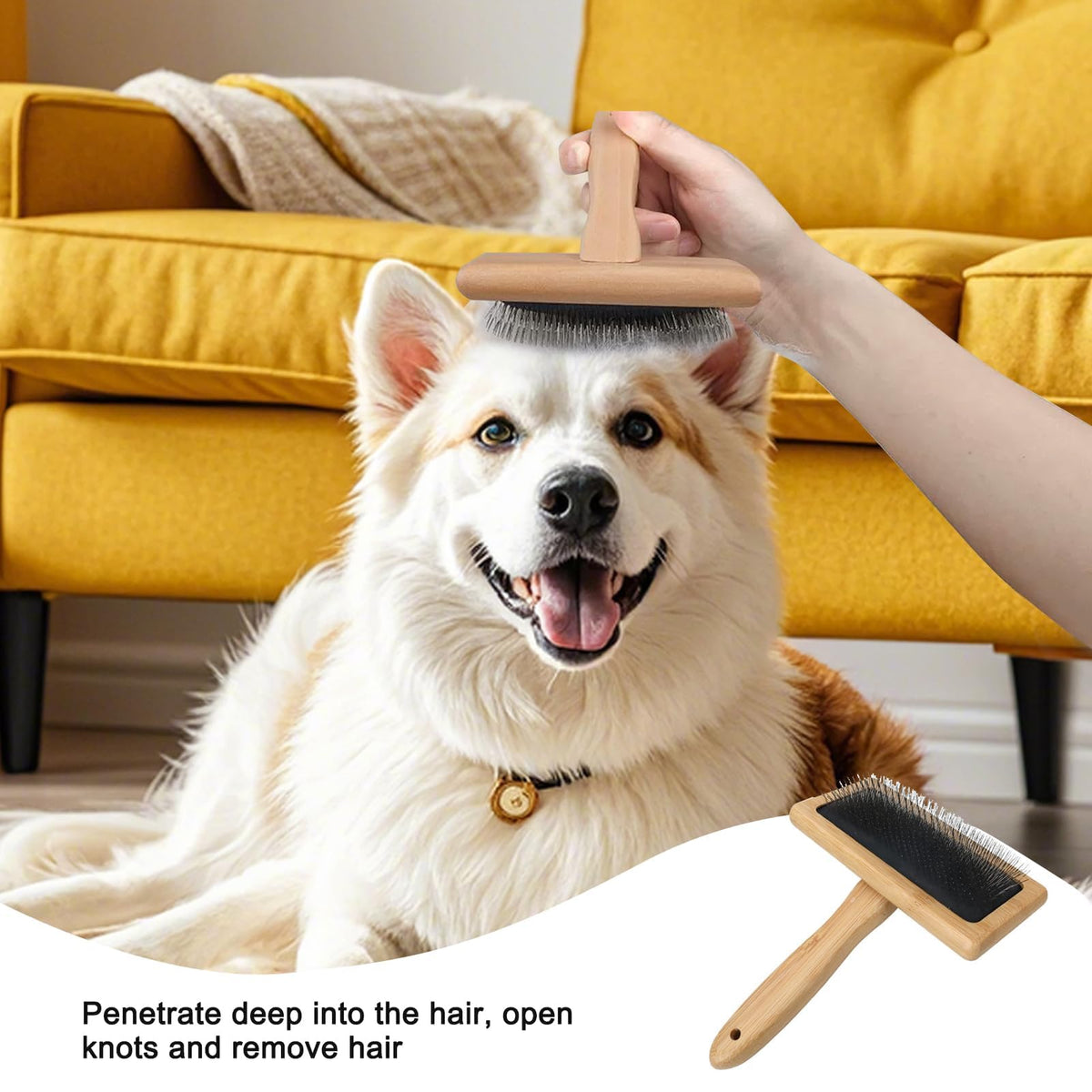Brosse de toilettage à picots — manche en bambou, chien et chat