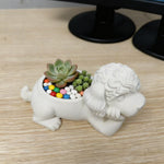 Pot de rangement chien caniche, pour bureau ou coiffeuse