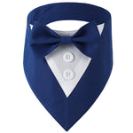Bandana chien façon smoking — nœud papillon amovible — coloris