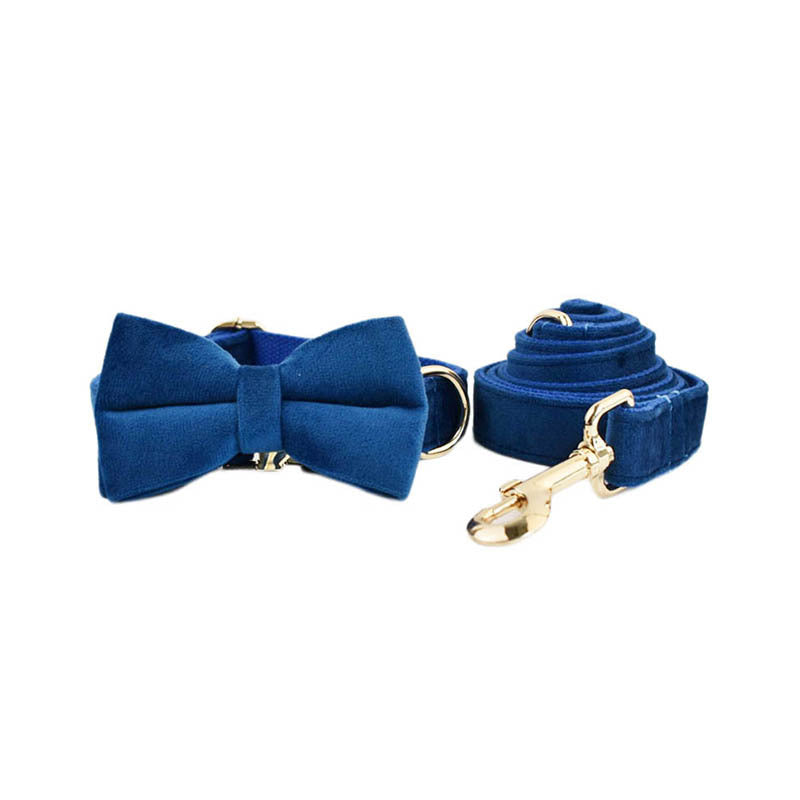 Parure collier, laisse et nœud papillon en velours