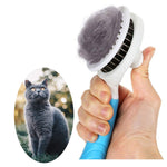 Brosse à picots rétractables, se vide d’un bouton