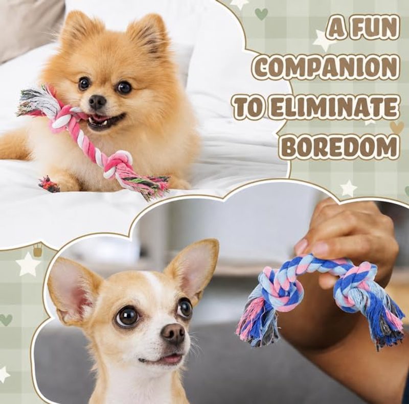 Lot de cordes à mâcher pour petit chien — 4 pièces