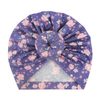 Roses, fond violet
