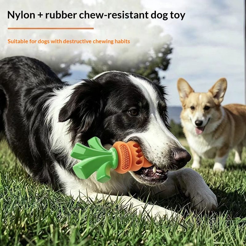 Carotte à mâcher pour chien — nylon et caoutchouc renforcés
