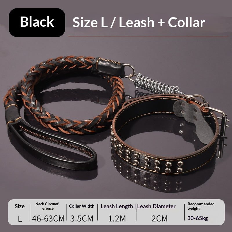 Laisse renforcée pour chien moyen à grand — sangle épaisse — coloris
